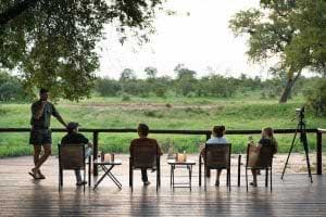 Safari i Krugerparken