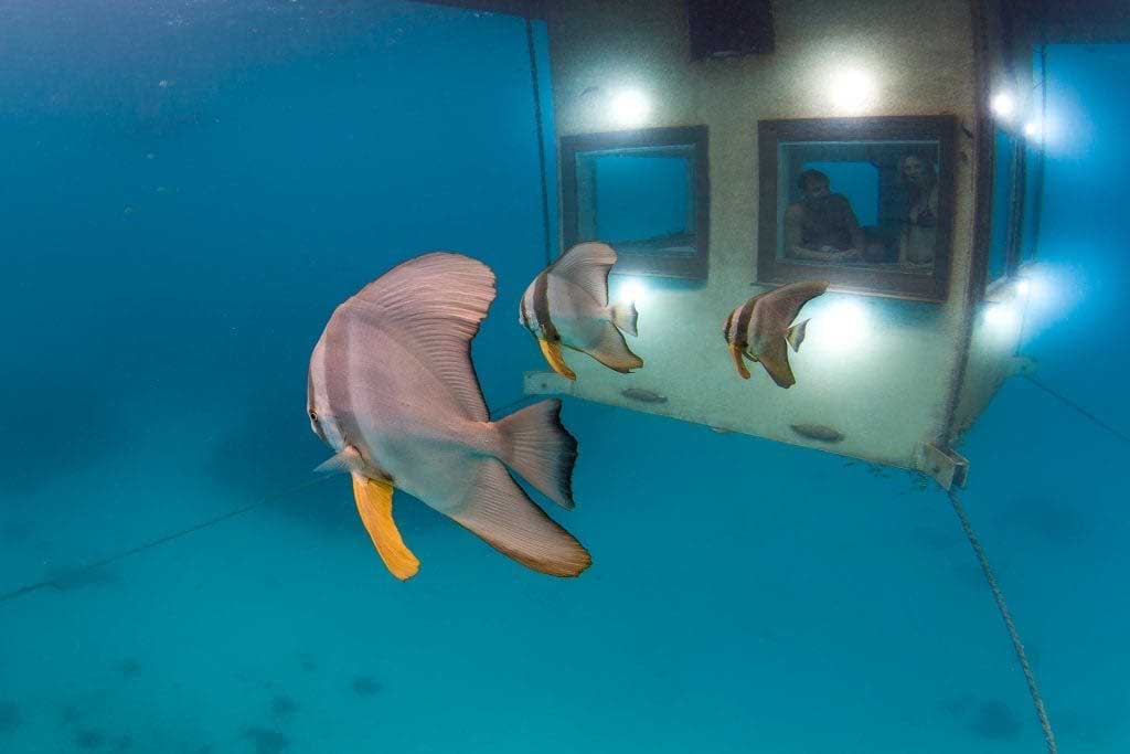 Manta Resort underwater room