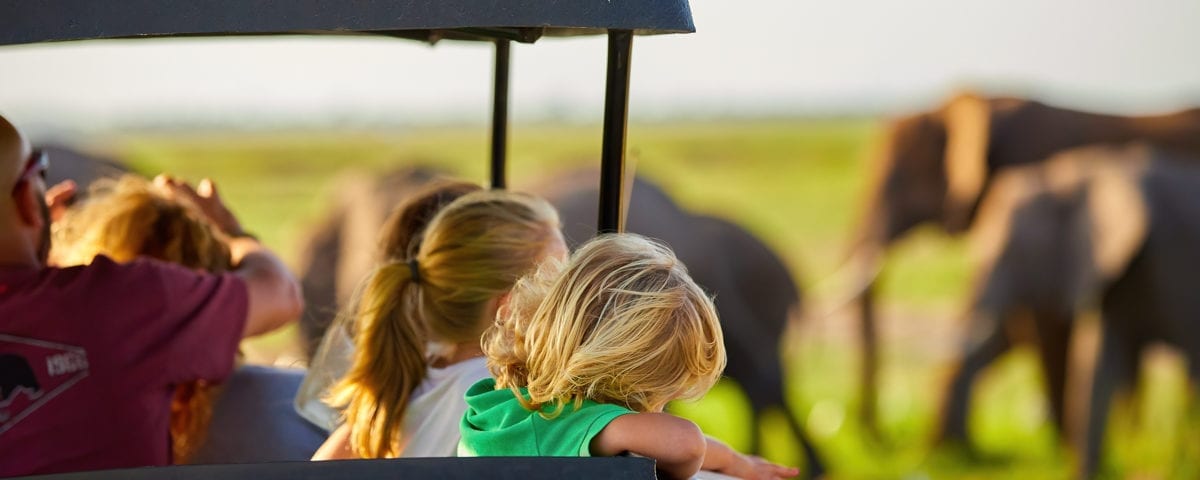 några blonda barn syns i en safarivan, i bakgrunden finns några elefanter. Att resa till Kenya med barn är enkelt