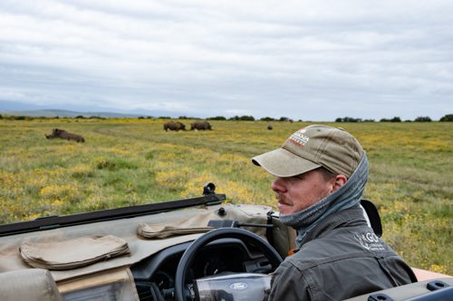 safariguiden Ruan framför noshörningar på Gondwana Game Reserve