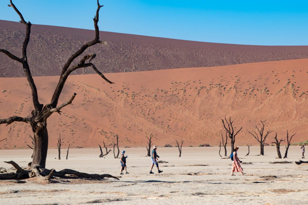 Deadvlei, en uttorkad saltsjö med döda träd, omgiven av de röda sanddynerna i Namiböknen, är en av Namibias höjdpunkter. Här ser vi en kvinna, en man och ett barn gå på led i denna döda dal.