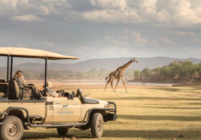 En giraff syns bakom en safaribil. Himlen i Zambia är grå och ser förebådande ut.