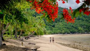 I förgrunden röda blommor i ett träd, ivi är på stranden och det är några personer som går längs med vattnet. När ska man åka till Madagaskar om man vill bada? Det och andra frågor svarar vi på i detta inlägg.