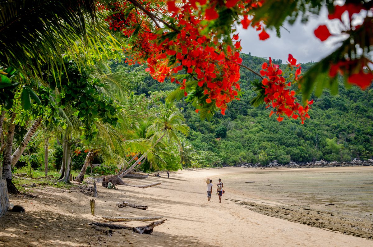 I förgrunden röda blommor i ett träd, ivi är på stranden och det är några personer som går längs med vattnet. När ska man åka till Madagaskar om man vill bada? Det och andra frågor svarar vi på i detta inlägg.