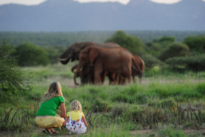 walkingsafarisandelephants