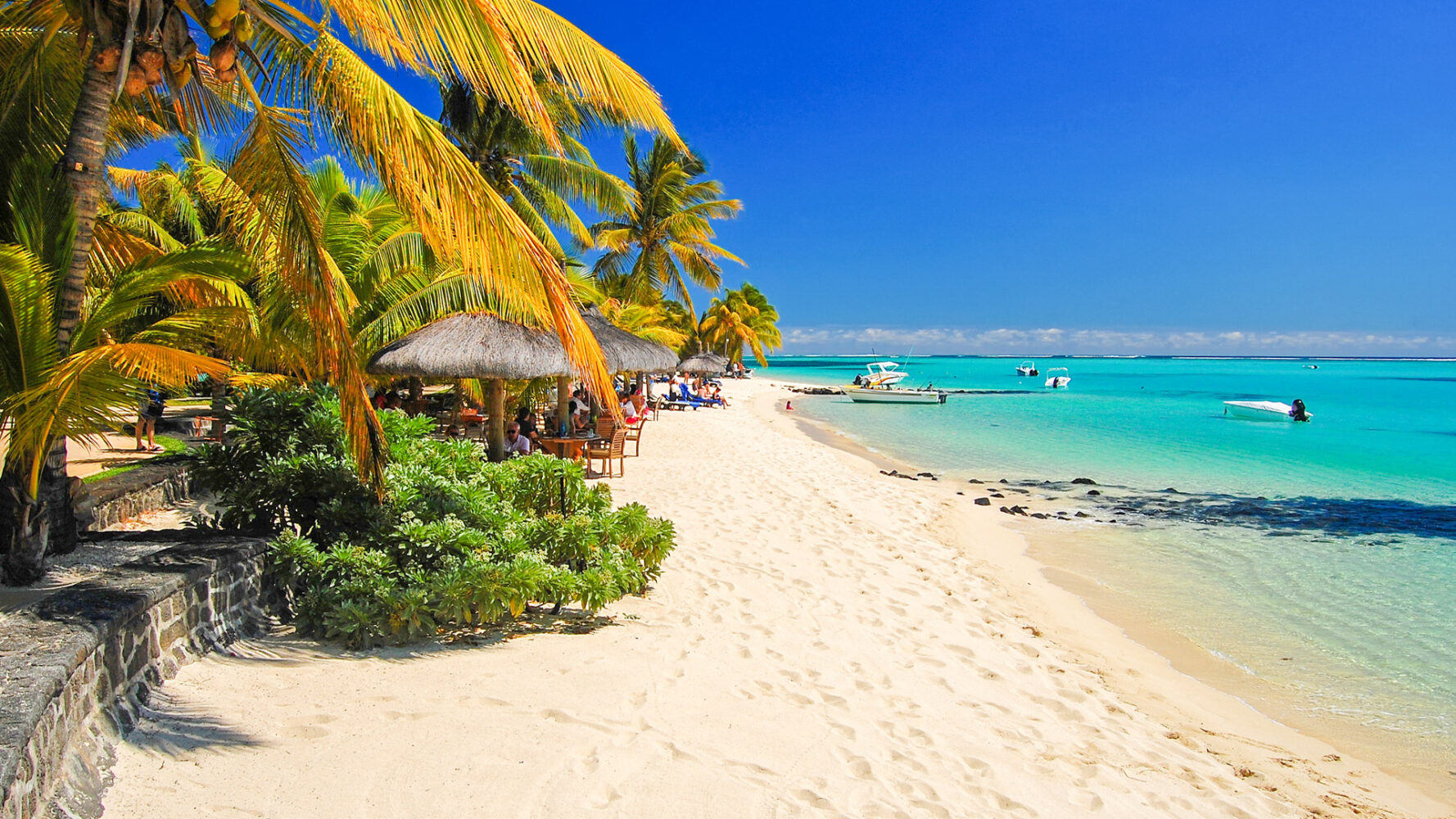 Mauritius vit strand och azurblått hav