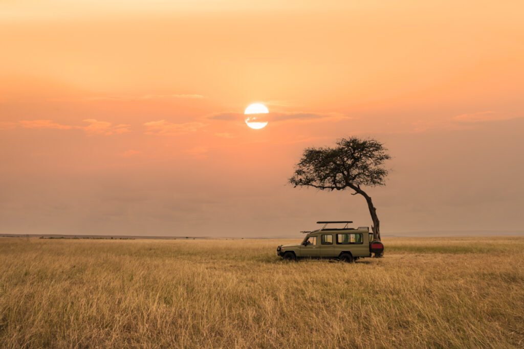 Serengeti eller Masai Mara? Den här upplevelsen, en safaribil med upphöjt tak under ett ensamt träd på savannen, i orange ljus i samband med soluppgången, kan du få oavsett vilket du väljer.