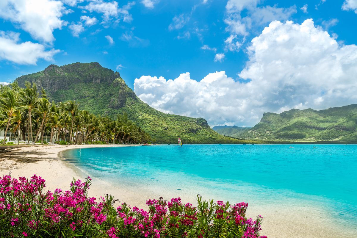 I förgrunden syns vackra blommor framför Le Mornes strand, med berget Le Morne i bakgrunden, en av Mauritius mest kända landmärken.
