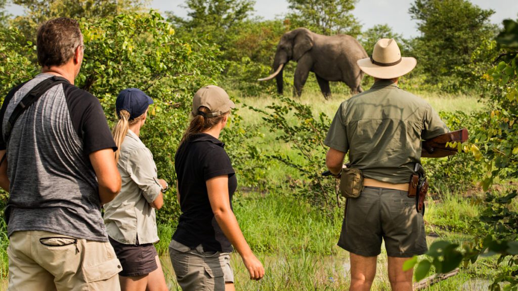 krugerparken eller privata reservat? Fyra personer står med ryggen mot och i bakgrunden syns en elefant med stora betar. Omgivningarna är bushiga och en av personerna är klädd som guide och bär ett skjutvapen. Du kan göra safariturer till fots i privata reservat, men det är ovanligt att kunna göra det i Krugerparken.
